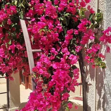 דירה Sea Breeze Maisonette לרנקה
